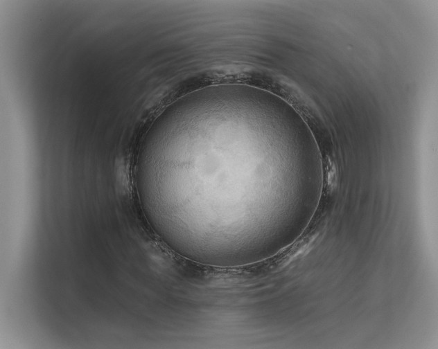 X0000111670819200907171611