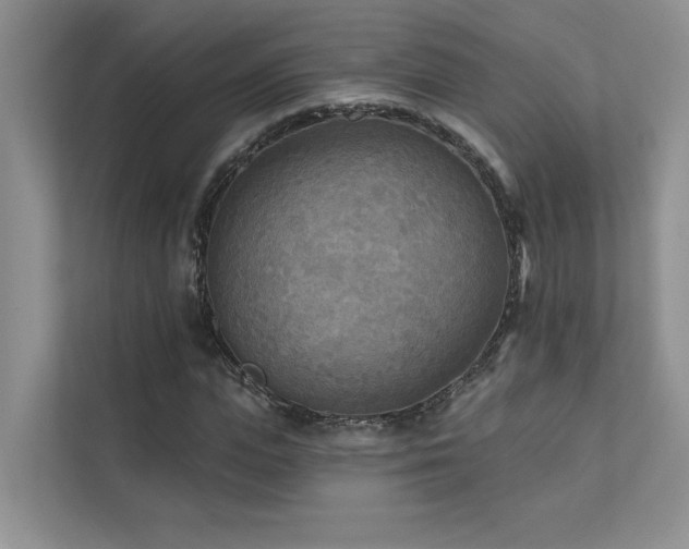 X0000111670823200907171612