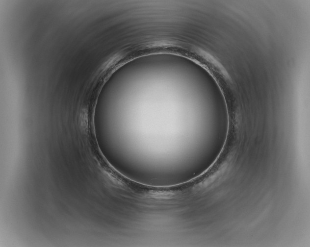 X0000111670825200907171612