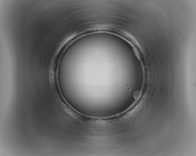 X0000111670827200907171612