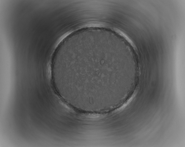 X0000111670829200907171612