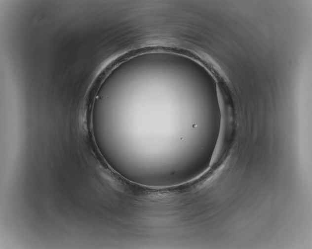 X0000111670830200907171612