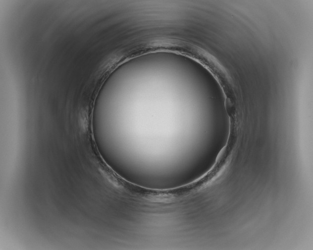 X0000111670833200907171612