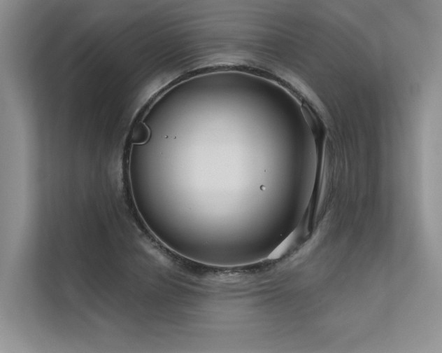 X0000111670834200907171612