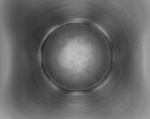 X0000111670835200907171612