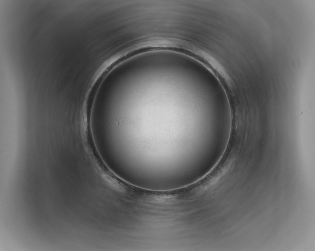 X0000111670837200907171612