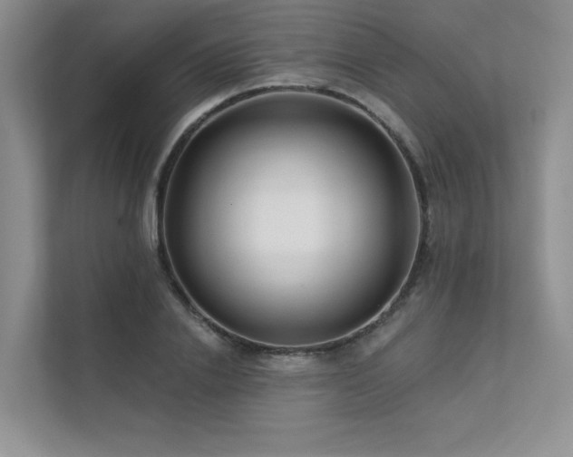 X0000111670838200907171612