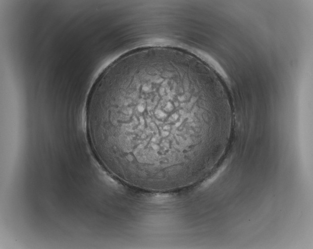 X0000111670839200907171612