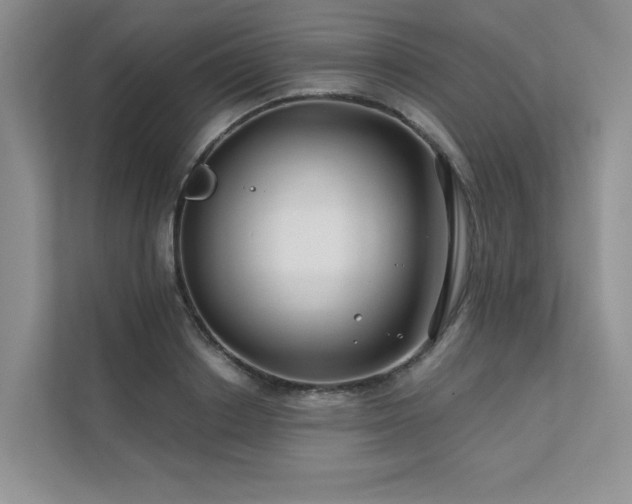 X0000111670842200907171612