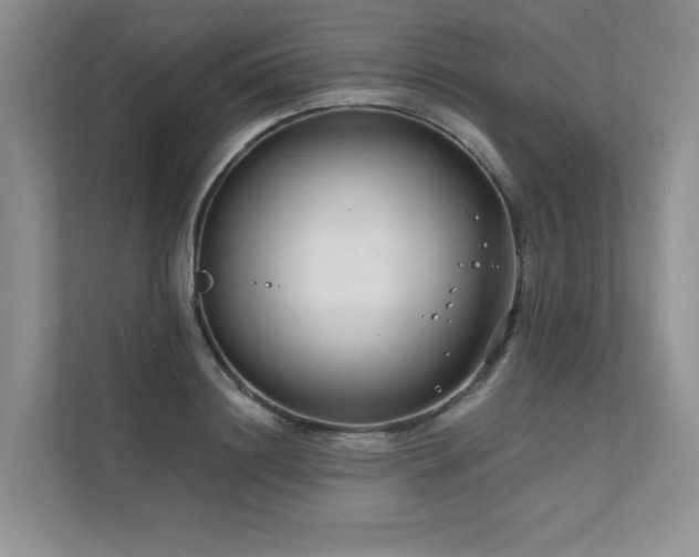 X0000111670844200907171612