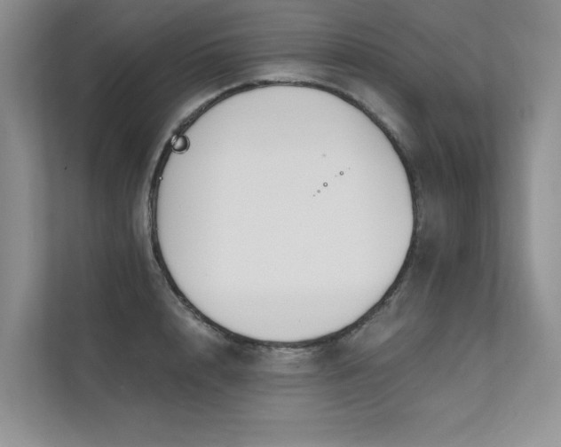 X0000111670848200907171612