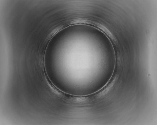 X0000111670849200907171612