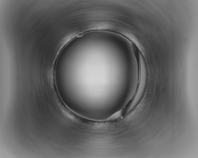 X0000111670850200907171612