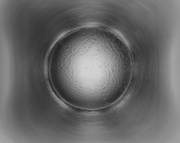 X0000111670851200907171612