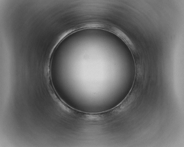 X0000111670852200907171612