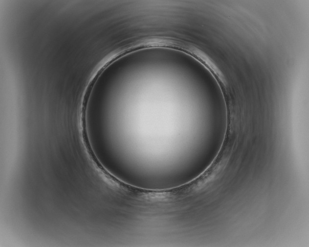 X0000111670853200907171612