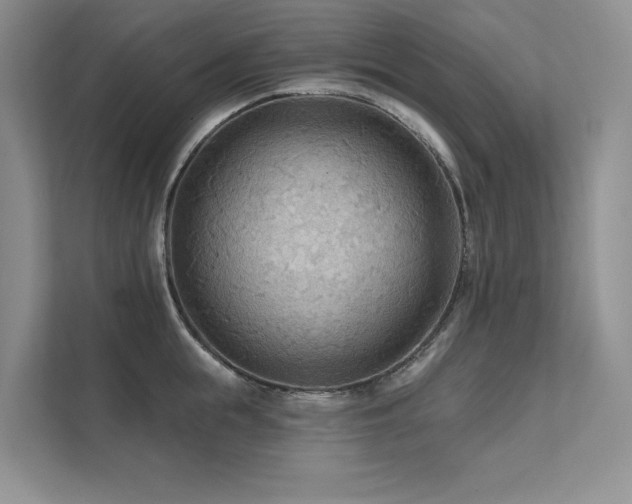 X0000111670855200907171612