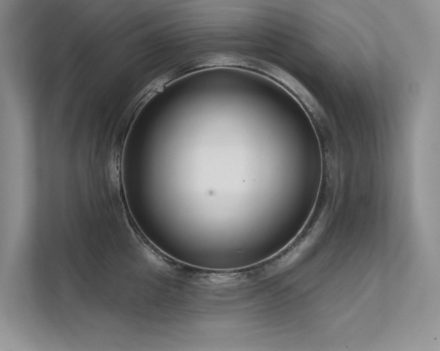 X0000111670857200907171612