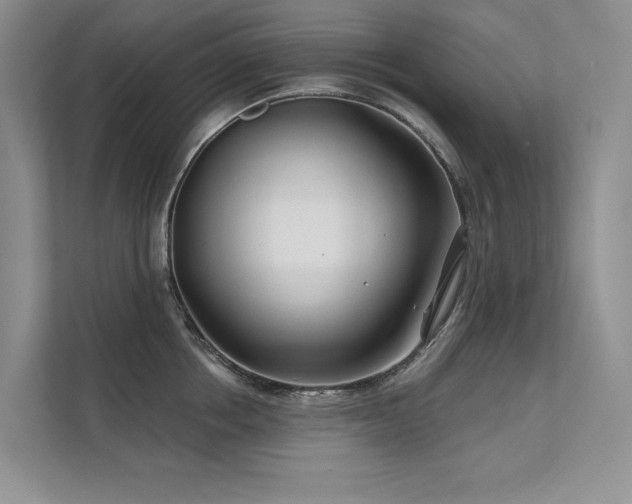 X0000111670858200907171612