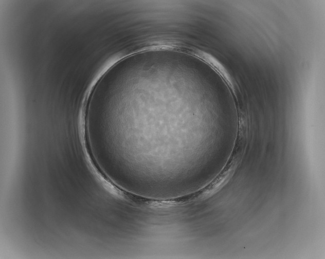 X0000111670859200907171612