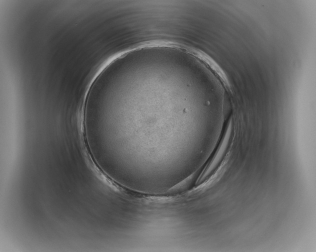 X0000111670860200907171612