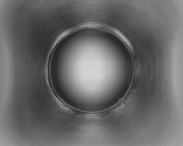 X0000111670861200907171612