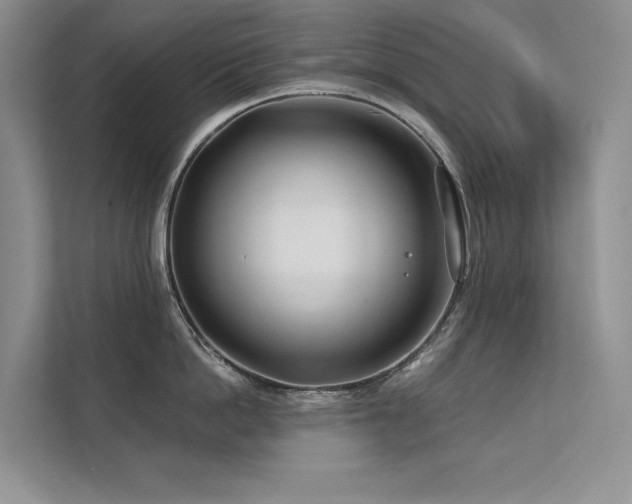 X0000111670862200907171612