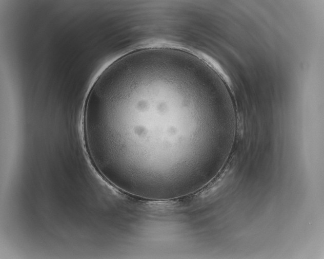 X0000111670863200907171612