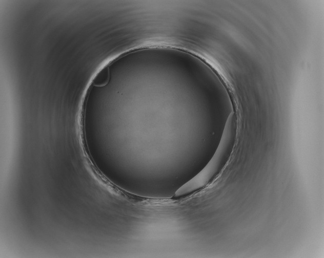 X0000111670864200907171612