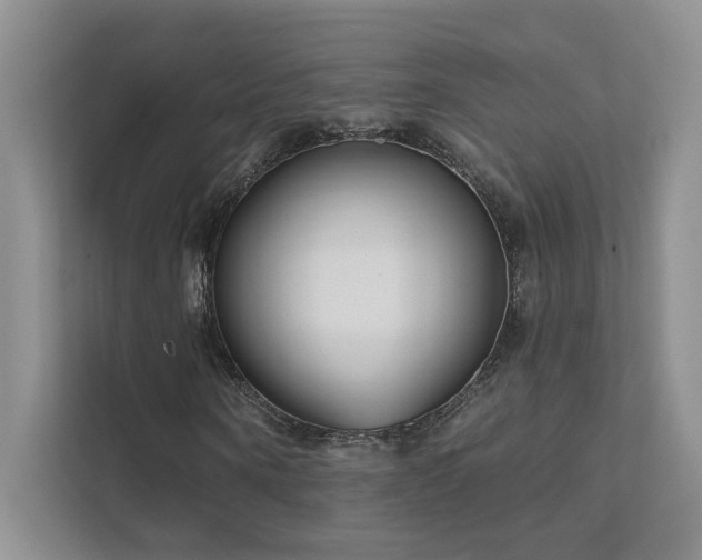 X0000111670866200907171611