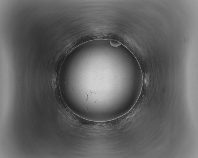 X0000111670867200907171611