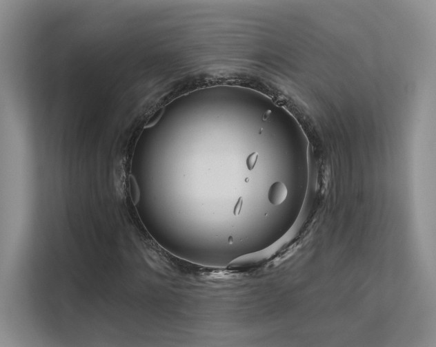 X0000111670868200907171611