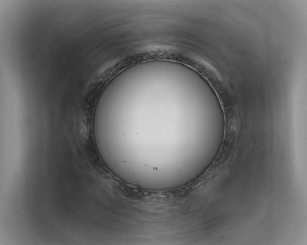 X0000111670869200907171611