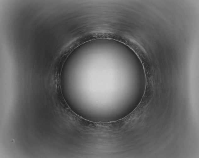 X0000111670870200907171611