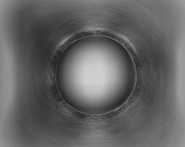 X0000111670871200907171611