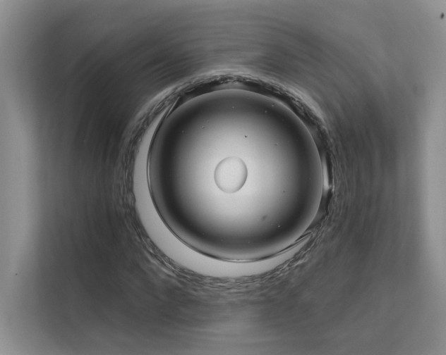 X0000111670872200907171611