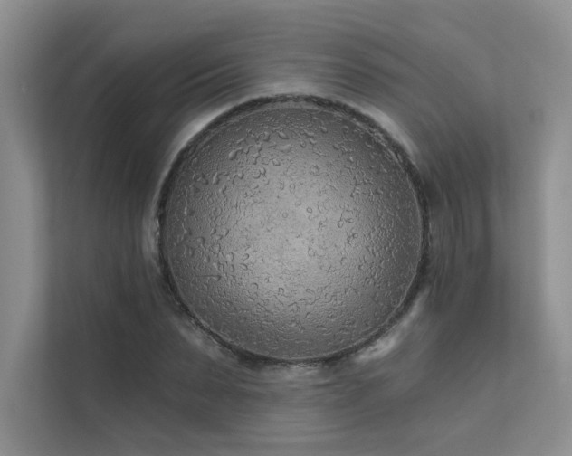 X0000111670879200907171611