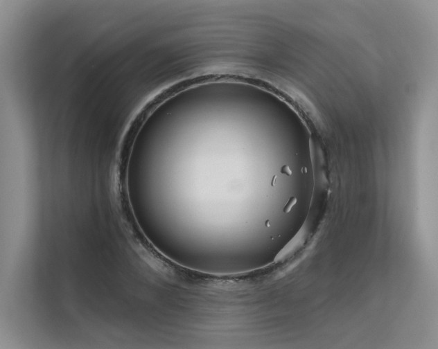 X0000111670880200907171611