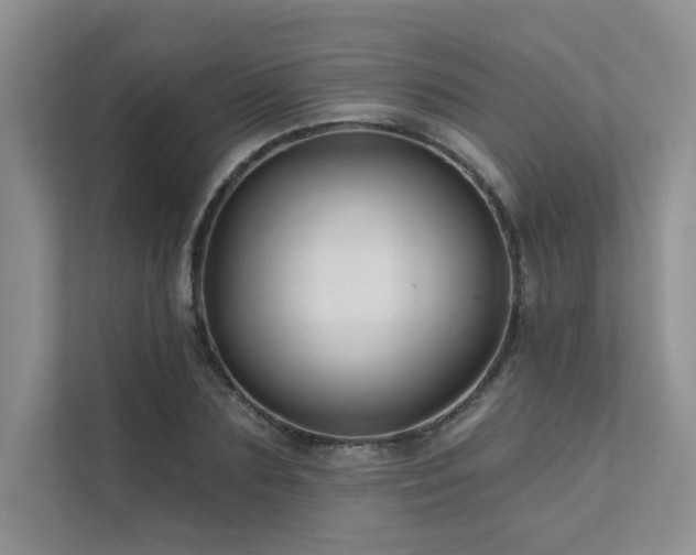 X0000111670883200907171611