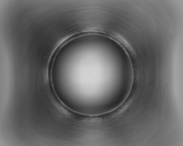 X0000111670884200907171611