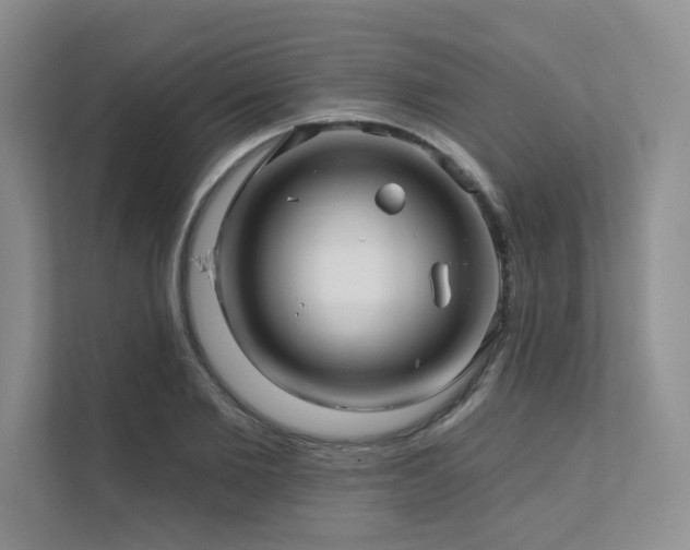 X0000111670885200907171611