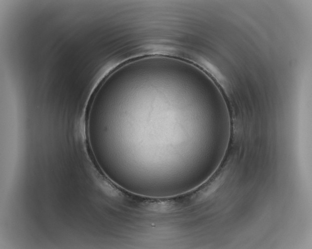 X0000111670891200907171611