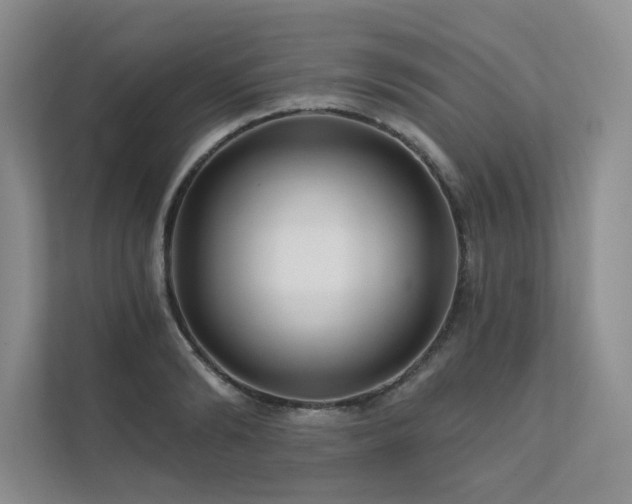 X0000111670894200907171611