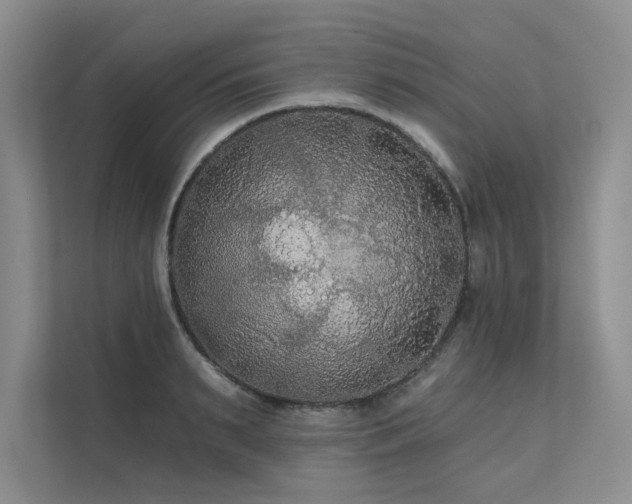 X0000111670895200907171611