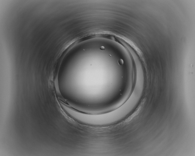 X0000111670897200907171611