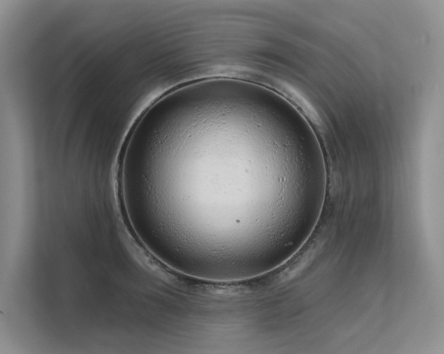 X0000111670899200907171611