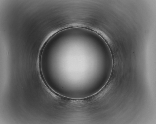 X0000111670902200907171611