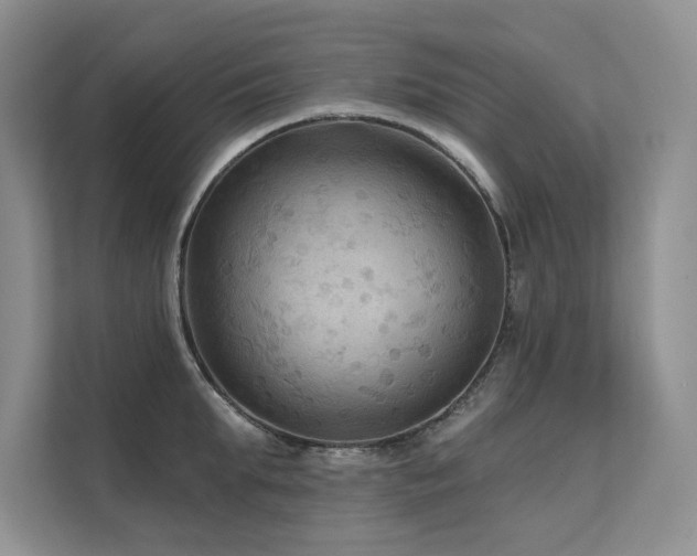 X0000111670903200907171611