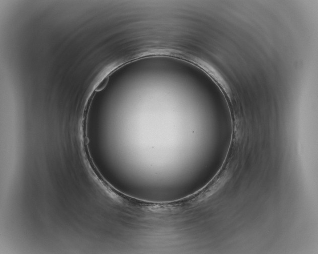 X0000111670906200907171611