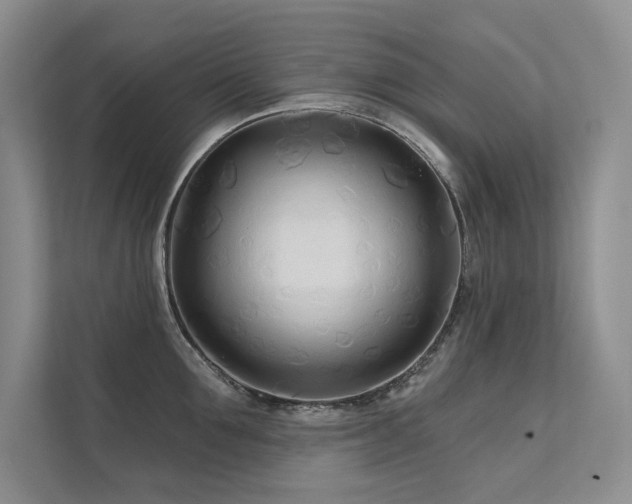 X0000111670907200907171611